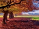 Instrumentale MP3 Autumn Leaves - Karaoke MP3 beroemd gemaakt door André Rieu