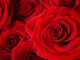 MP3 instrumental de Roses - Canción de karaoke