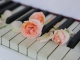 La vie en rose custom accompaniment track - Diana Krall