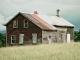 Sweet Home Alabama - Base per Chitarra - Lynyrd Skynyrd