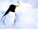 Instrumentale MP3 Le ragga des pingouins - Karaoke MP3 beroemd gemaakt door Pigloo