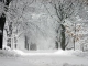 Instrumentale MP3 Winter Wonderland - Karaoke MP3 beroemd gemaakt door Perry Como