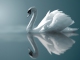 Backing Track MP3 Swan Lake Suite