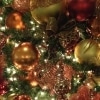 A Song and a Christmas Tree (The Twelve Days...