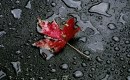 Rain - Karaoké Instrumental - Breaking Benjamin - Playback MP3