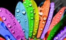 Sunshine, Lollipops and Rainbows - Instrumental MP3 Karaoke - Lesley Gore