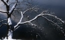 Le vent de l'hiver - Karaokê Instrumental - Raphaël Haroche - Playback MP3