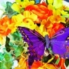 Butterfly (Englische Version)