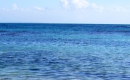 In alto mare - Loredana Bertè - Instrumental MP3 Karaoke Download In alto mare - Loredana Bertè - Instrumental MP3 Karaoke Download