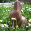 Funny Little Bunny (With The Powder Puff...