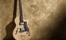 I've Always Been Crazy - Karaoké Instrumental - Waylon Jennings - Playback MP3 I've Always Been Crazy - Karaoké Instrumental - Waylon Jennings - Playback MP3