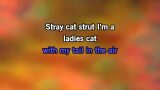 Video Karaoke Liedje Stray Cat Strut - The Stray Cats