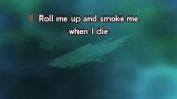 Roll Me Up and Smoke Me When I Die Karaoke - Willie Nelson