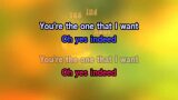 You're the One That I Want Karaoke - Grease (film)