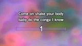 Conga Karaoke - Miami Sound Machine