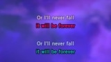 Singen When I Fall in Love Karaoke - Céline Dion - MP3 Karaoke