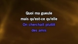 Ma gueule (Stade de France 2009) Karaoke - Johnny Hallyday