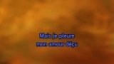 Sur ma vie (Stade de France 1998) Karaoke - Johnny Hallyday