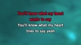 Video Karaoke Tip Of My Tongue - Johnny Diesel - Karaoke Canzoni