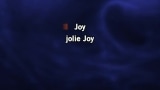 Joy Karaoke - Alain Chamfort