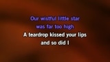 The Shadow of Your Smile Karaoke - The Sandpiper