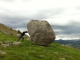 Stonehenge aangepaste backing-track - Ylvis