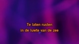 De steen Karaoke - Paul de Leeuw