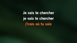 Je vais te chercher Karaoke - Chimène Badi