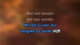 Wat een wonder Karaoke - Vinzzent