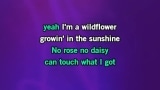 Wildflower Karaoke - The JaneDear Girls