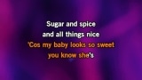 Video Karaoke Liedje Sugar and Spice - The Searchers