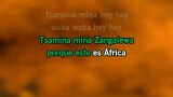 Video Karaoke Liedje Waka Waka (Esto es Africa) - Shakira