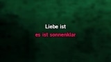 Liebe ist Liebe Karaoke - Maite Kelly