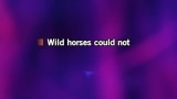 Wild Horses Karaoke - Gino Vannelli