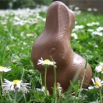 karaoké,Funny Little Bunny (With The Powder Puff Tail),Easter Songs,instrumental,playback,mp3, cover,karafun,karafun karaoké,Easter Songs karaoké,karafun Easter Songs,Funny Little Bunny (With The Powder Puff Tail) karaoké,karaoké Funny Little Bunny (With The Powder Puff Tail),karaoké Easter Songs Funny Little Bunny (With The Powder Puff Tail),karaoké Funny Little Bunny (With The Powder Puff Tail) Easter Songs,Easter Songs Funny Little Bunny (With The Powder Puff Tail) karaoké,Funny Little Bunny (With The Powder Puff Tail) Easter Songs karaoké,Funny Little Bunny (With The Powder Puff Tail) cover,Funny Little Bunny (With The Powder Puff Tail) paroles,