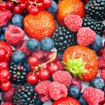 karaoke,Salade de fruits,Roberto Alagna,backing track,instrumental,playback,mp3,lyrics,sing along,singing,cover,karafun,karafun karaoke,Roberto Alagna karaoke,karafun Roberto Alagna,Salade de fruits karaoke,karaoke Salade de fruits,karaoke Roberto Alagna Salade de fruits,karaoke Salade de fruits Roberto Alagna,Roberto Alagna Salade de fruits karaoke,Salade de fruits Roberto Alagna karaoke,Salade de fruits lyrics,Salade de fruits cover,