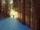 Lost in the Woods niestandardowy podkład - Frozen 2