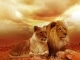 Playback MP3 Circle of Life / Nants' Ingonyama - Karaokê MP3 Instrumental versão popularizada por The Lion King (2019 film)