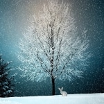 karaoké,Peace On Earth / Little Drummer Boy (with London Symphony Orchestra),Bing Crosby,instrumental,playback,mp3, cover,karafun,karafun karaoké,Bing Crosby karaoké,karafun Bing Crosby,Peace On Earth / Little Drummer Boy (with London Symphony Orchestra) karaoké,karaoké Peace On Earth / Little Drummer Boy (with London Symphony Orchestra),karaoké Bing Crosby Peace On Earth / Little Drummer Boy (with London Symphony Orchestra),karaoké Peace On Earth / Little Drummer Boy (with London Symphony Orchestra) Bing Crosby,Bing Crosby Peace On Earth / Little Drummer Boy (with London Symphony Orchestra) karaoké,Peace On Earth / Little Drummer Boy (with London Symphony Orchestra) Bing Crosby karaoké,Peace On Earth / Little Drummer Boy (with London Symphony Orchestra) cover,Peace On Earth / Little Drummer Boy (with London Symphony Orchestra) paroles,