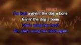 Given the Dog a Bone Karaoke - AC/DC