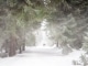 Instrumentale MP3 Let it Snow! Let it Snow! Let it Snow! - Karaoke MP3 beroemd gemaakt door Garou