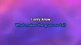 Without a Song Karaoke - Frank Sinatra