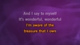 Singen Wonderful! Wonderful! Karaoke - Johnny Mathis - MP3 Karaoke