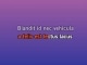 Walkin' in the Sunshine - Karaoke personalizzato - Roger Miller
