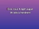 Don't Let the Old Man In - Custom Karaoke - Toby Keith
