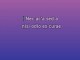 You Wouldn't Believe - Karaoke personalizzati - 311