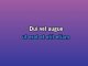 Shine - Custom Karaoke - De Toppers