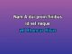 Queen of Memphis - Karaoke personalizzato - Confederate Railroad