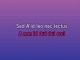 Two Lovers - Karaoke personalizzato - Mary Wells