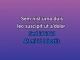C'est magnifique - Custom Karaoke - Dean Martin